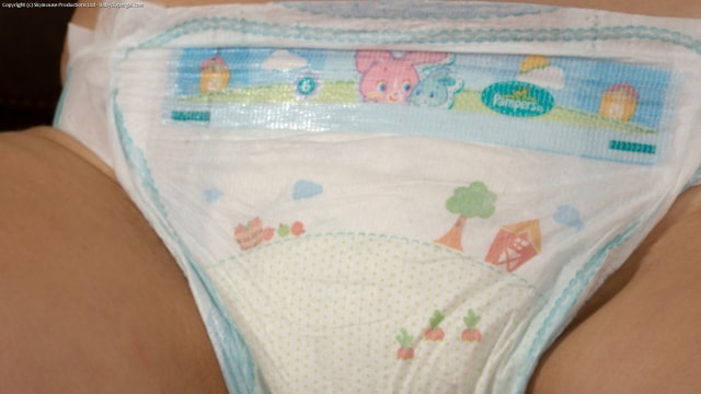 Set_bdg0022