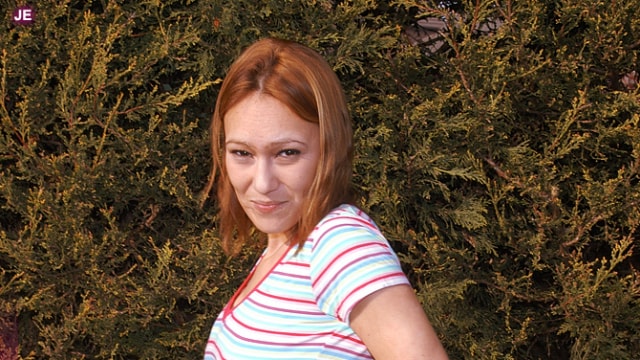 Set_dg1244