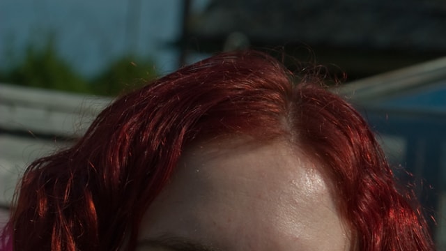 Set_dg1341
