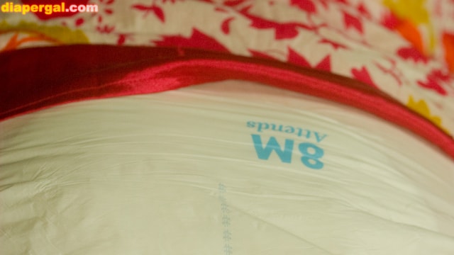 Set_dg1383