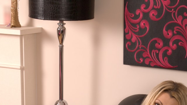 Set_dg1536