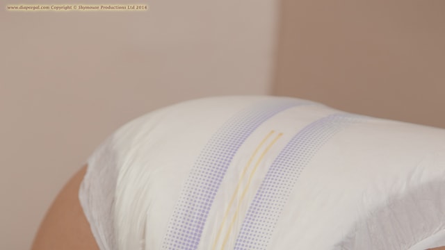 Set_dg2311
