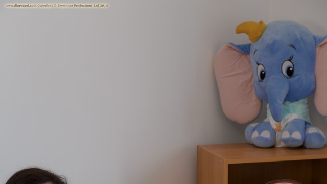 Set_dg2312