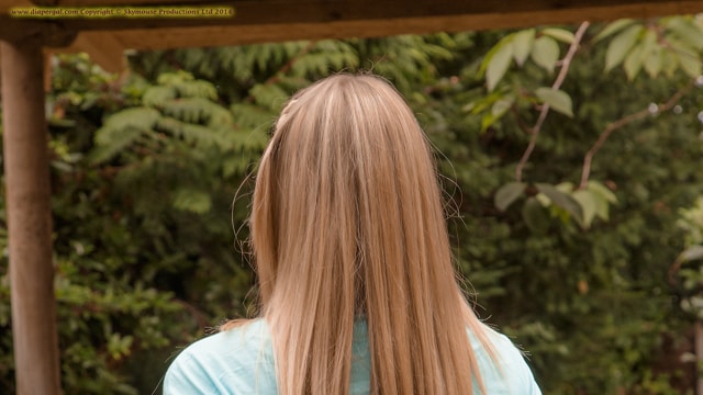 Set_dg2316