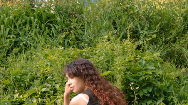 Set_dg2447