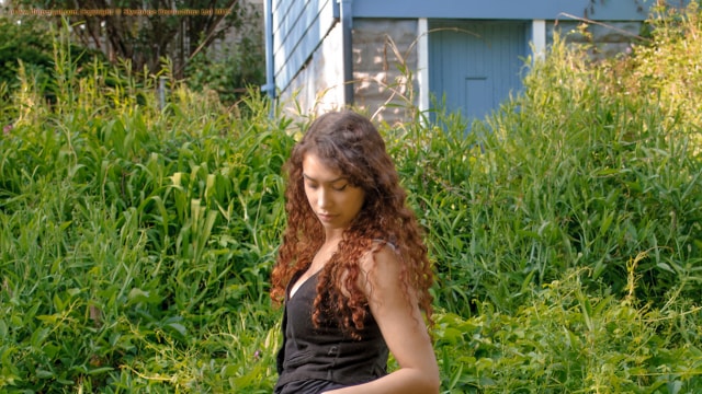 Set_dg2456