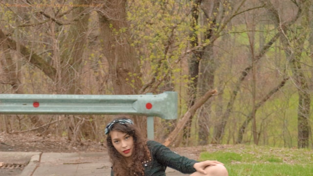 Set_dg2483