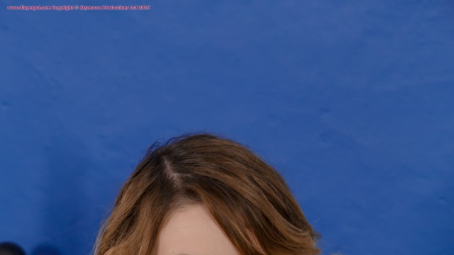 Set_dg2594