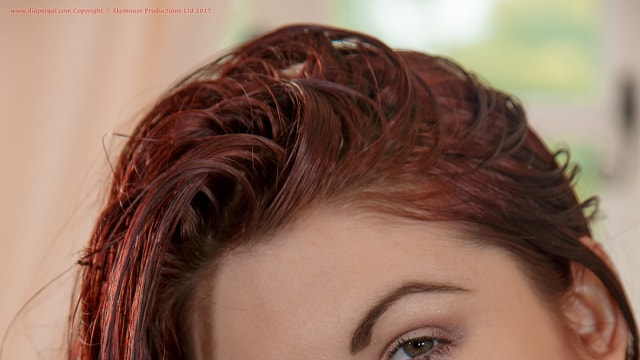 Set_dg2804