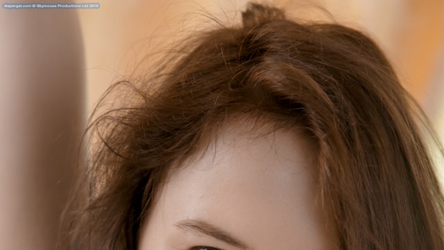 Set_dg2881