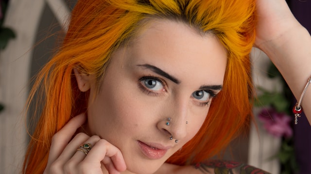 Set_dg3109