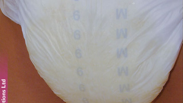 Set_dg312