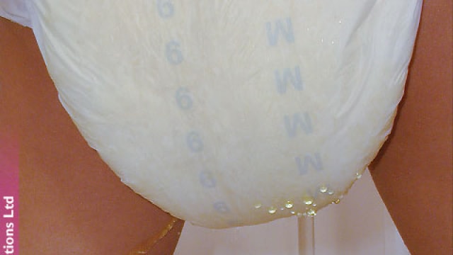 Set_dg312