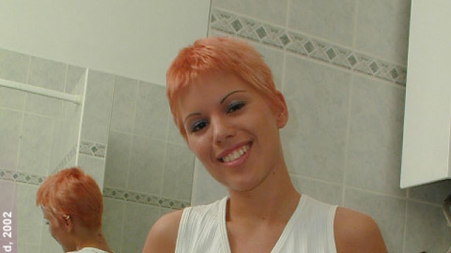 Set_dg322