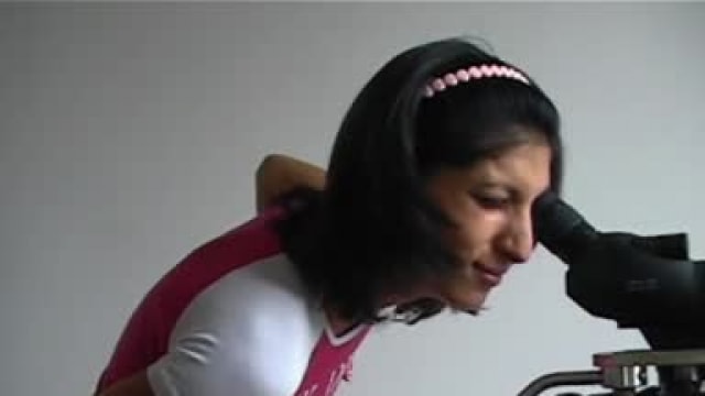 Video_dg0174